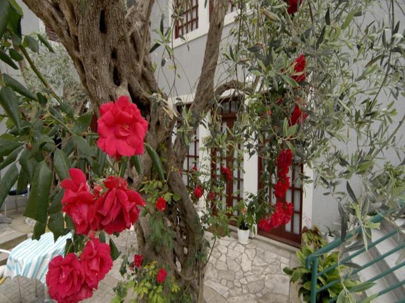 Casa Di Oliveto Hotel Petrovac Exterior photo